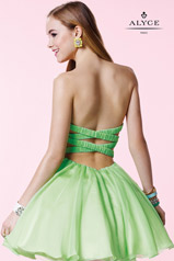 3641 Mint back