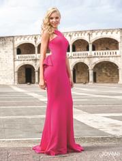 21899 Fuchsia detail
