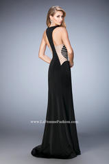 22742 Black back