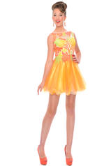 P46842 Precious Formals